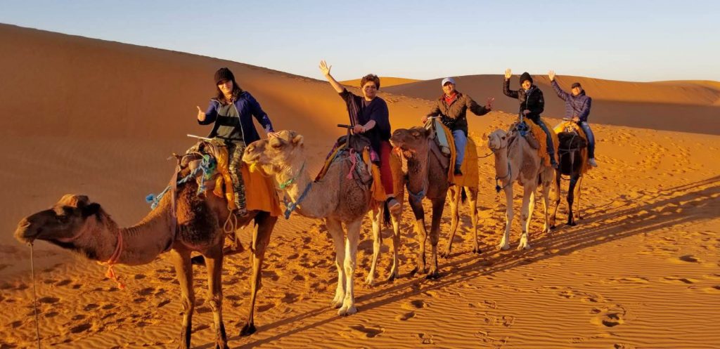 Morocco Camel Tours