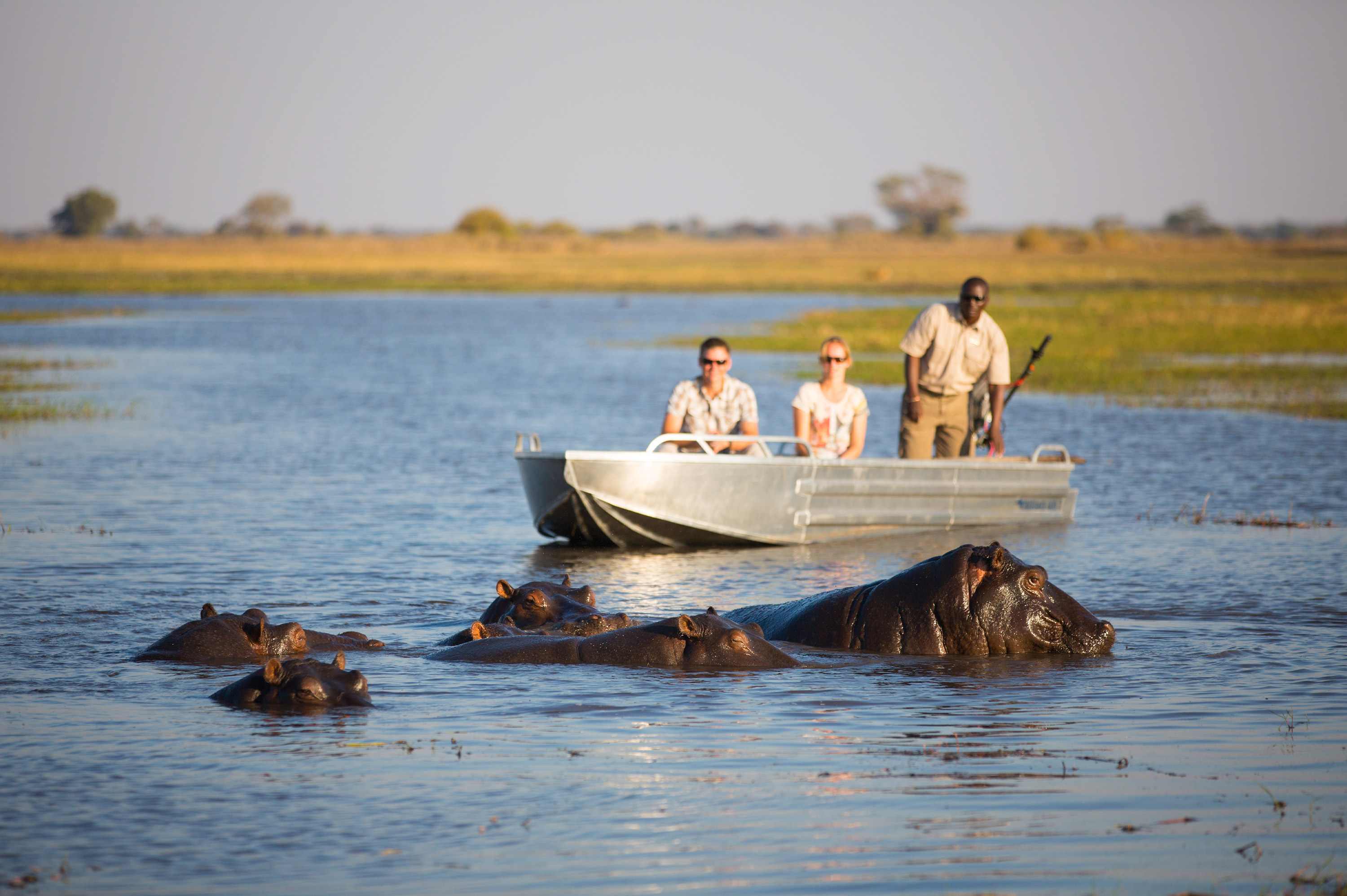 Boat-safari-Hippo-Zambia