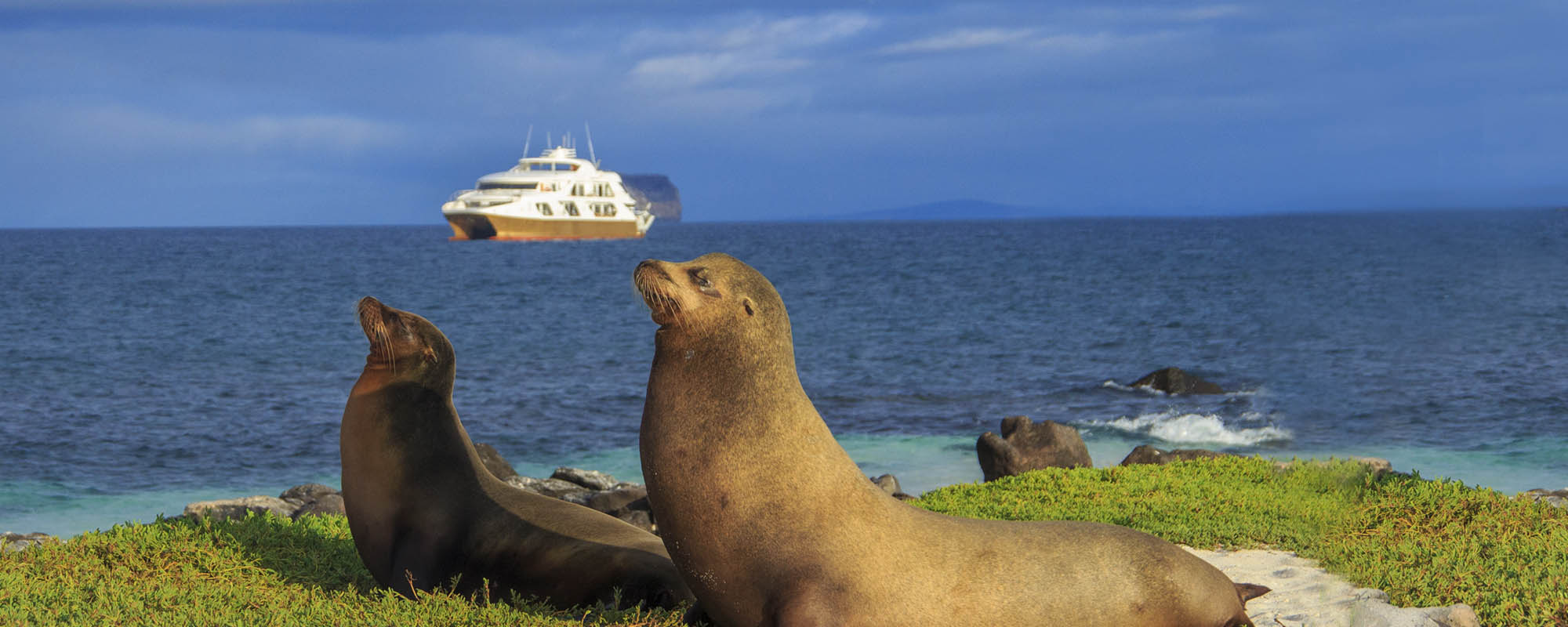 Galapagos Luxury Cruises Tours