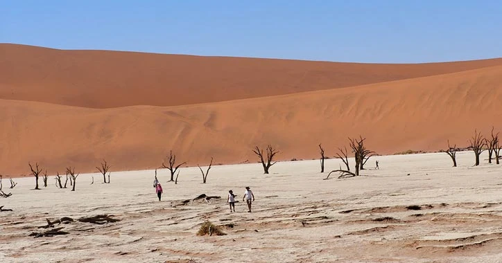 Namibia - Endless Horizons and Surreal Beauty