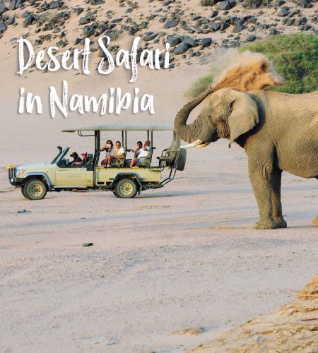 Namibia Desert Safari